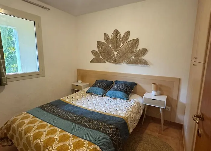 Avec Piscine En Bord De - Corse Apartment